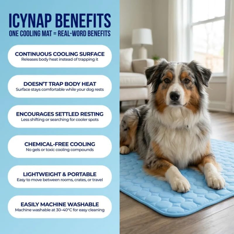 Pawlab Cooling Mat Original