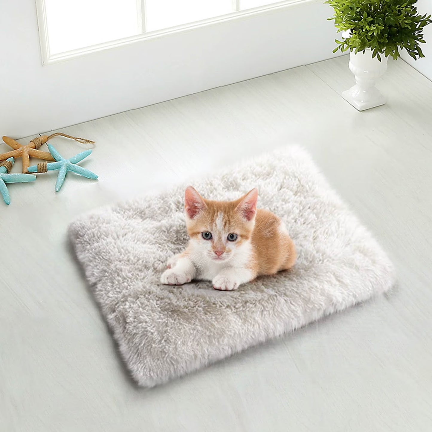 Dog Bed for Large Dogs, Cozy Calming Pet Bed for Dogs & Cats: Self-Warming, Anti-Anxiety, Non-Slip and Machine Washable 24X20 Inch